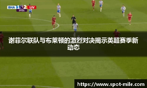 谢菲尔联队与布莱顿的激烈对决揭示英超赛季新动态